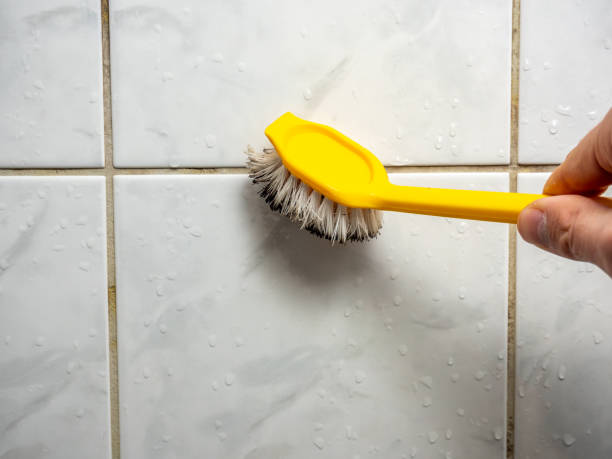 Best Mold Damage Repair  in Sperry, OK