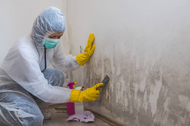 Best Mold Testing  in Sperry, OK