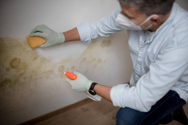 Best Mold Cleaning Services  in Sperry, OK