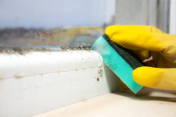 Best Attic Mold Removal  in Sperry, OK