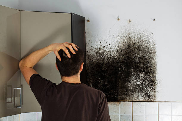 Best Water Damage Restoration  in Sperry, OK